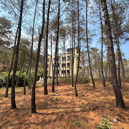 Xtsy Travellers Hostel Shillong Zewnętrze zdjęcie