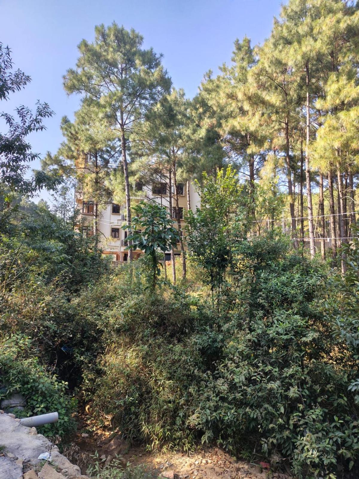 Xtsy Travellers Hostel Shillong Zewnętrze zdjęcie