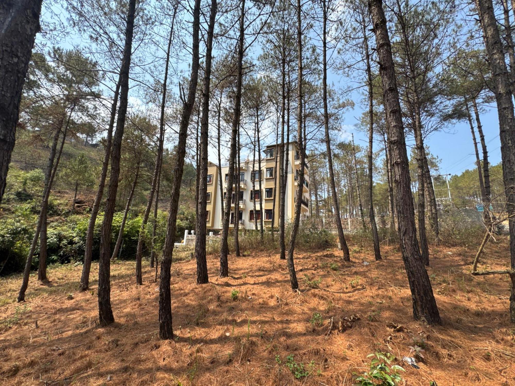 Xtsy Travellers Hostel Shillong Zewnętrze zdjęcie
